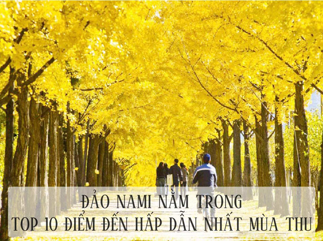 4 lý do để không thể không đến Hàn Quốc mùa thu này