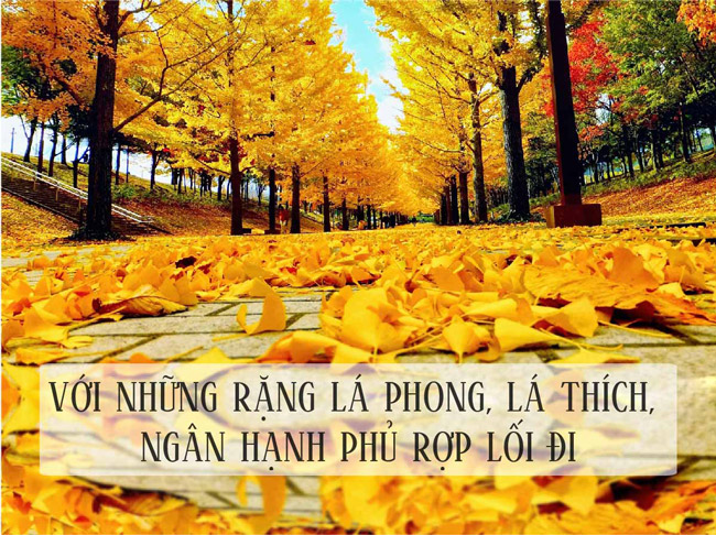 4 lý do để không thể không đến Hàn Quốc mùa thu này