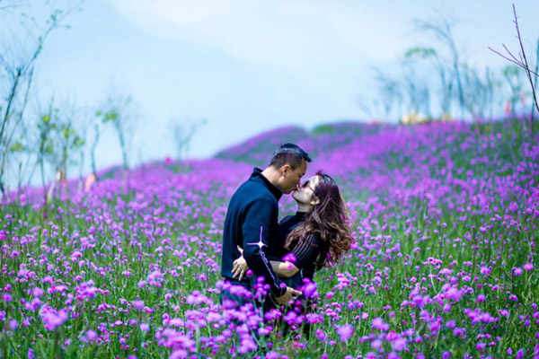 Ngắm hoa đỗ quyên nở rộ trên dãy Hoàng Liên Sơn dịp nghỉ lễ