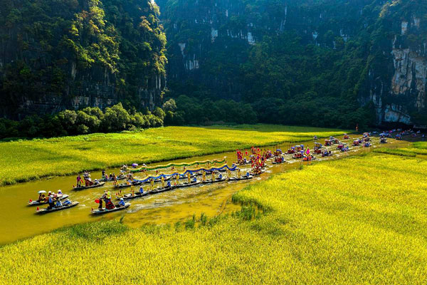 Cánh đồng lúa ở Tam Cốc vào mùa đẹp nhất trong năm