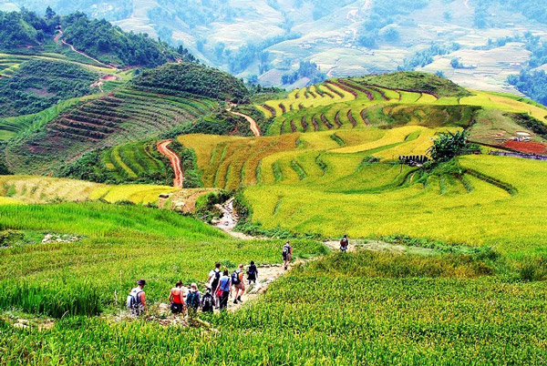Kinh nghiệm du lịch núi Hàm Rồng – điểm đến hấp dẫn tại Sapa