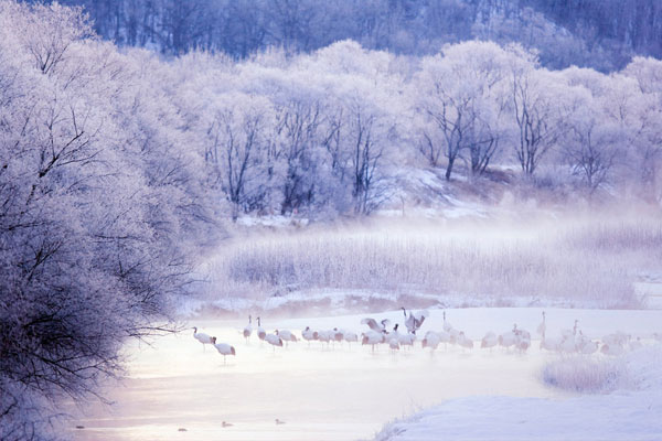 Hokkaido – Vùng đất thần kỳ của Nhật Bản