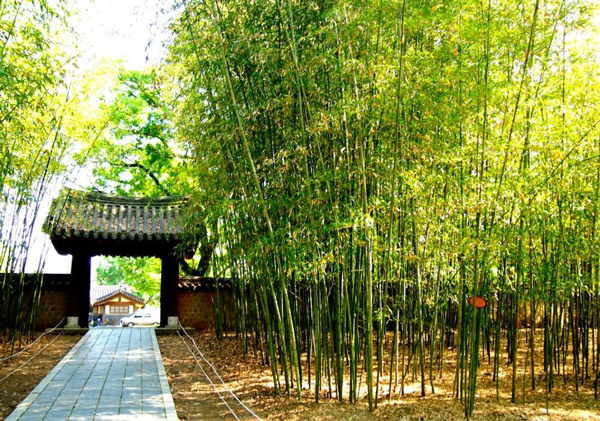 NHẬT KÝ THAM QUAN Ở LÀNG CỔ JEONJU - HÀN QUỐC