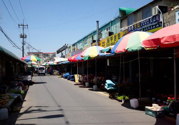 NHẬT KÝ THAM QUAN Ở LÀNG CỔ JEONJU - HÀN QUỐC
