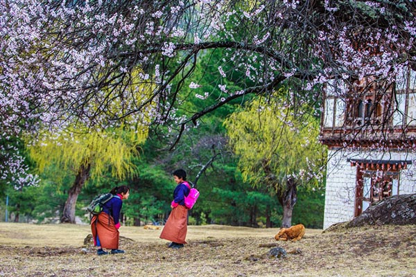 Du lịch Bhutan - Một lần đến