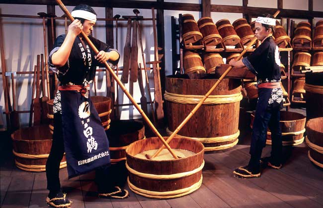 Mùa thu, uống Sake Nhật là ngon nhất