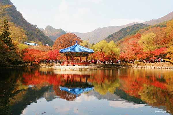 Du lịch Hàn Quốc vào thời gian nào để tận hưởng trọn vẹn mùa lá đỏ, lá vàng đẹp nhất năm?