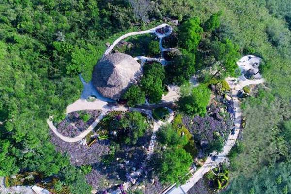 Cẩm nang du lịch Tây Ninh dành cho người yêu xê dịch