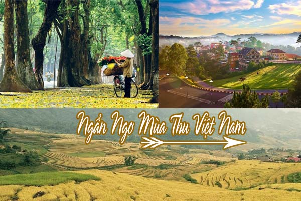 Mùa thu nhất định phải chu du tới 3 điểm đến Việt Nam đẹp 