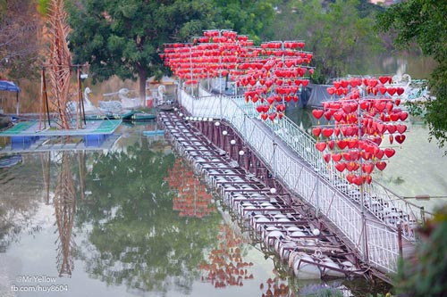 Giới trẻ điêu đứng với CÂY CẦU TÌNH YÊU ở khu du lịch Bửu Long