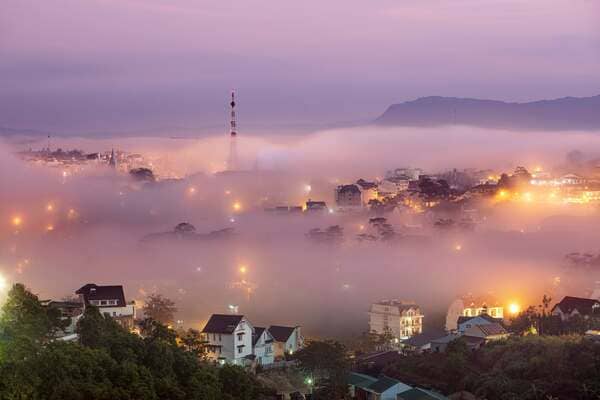 Đà Lạt Tháng 11/2026: Mùa Cỏ Hồng, Dã Quỳ & Săn Mây