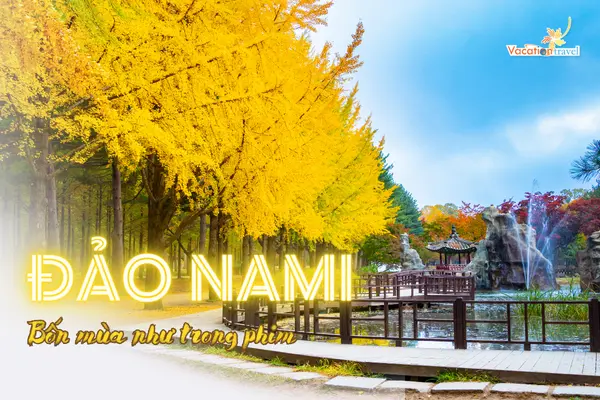 Đảo Nami - Nét đẹp tựa thước phim bạn nên ghé khi du lịch Hàn Quốc