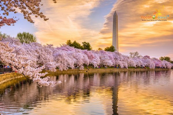 Du lịch Mỹ 10 ngày: Bờ Đông Hoa Kỳ mùa hoa anh đào