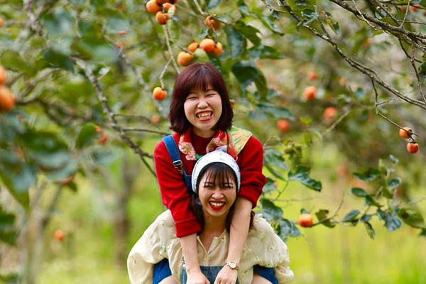 ĐÀ LẠT MÙA HỒNG CHÍN