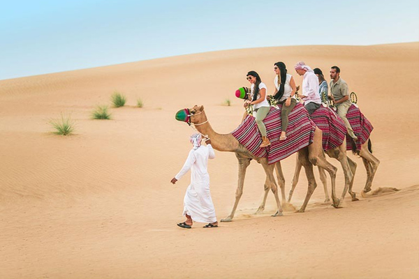 Những điều chưa biết về Sa mạc Safari ở Dubai