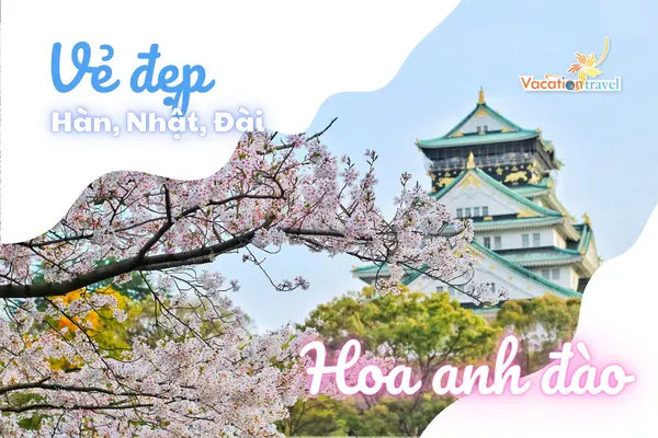 Vẻ đẹp mùa hoa anh đào qua lăng kính tín đồ du lịch
