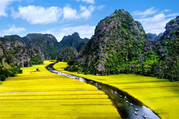 Kinh nghiệm du lịch Tam Cốc mùa lúa chín