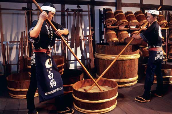 Mùa thu, uống Sake Nhật là ngon nhất