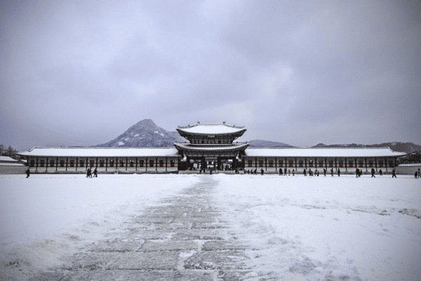Tour Hàn Quốc Mùa Đông 5N4Đ – Seoul, Nami, Lotte World, Trượt Tuyết Elysian | Vacation Travel