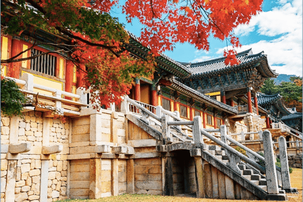Tour Hàn Quốc 5N4Đ | Khám Phá Kinh Đô Silla – Busan, Gyeongju, Ulsan