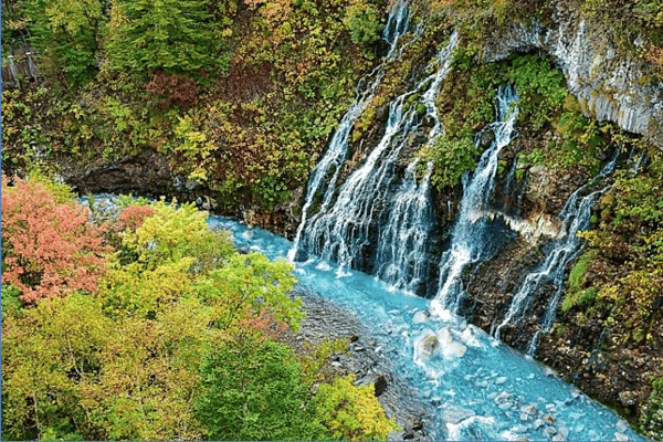 Tour Nhật Bản Mùa Hoa Anh Đào 5N5Đ | Asahikawa – Sapporo