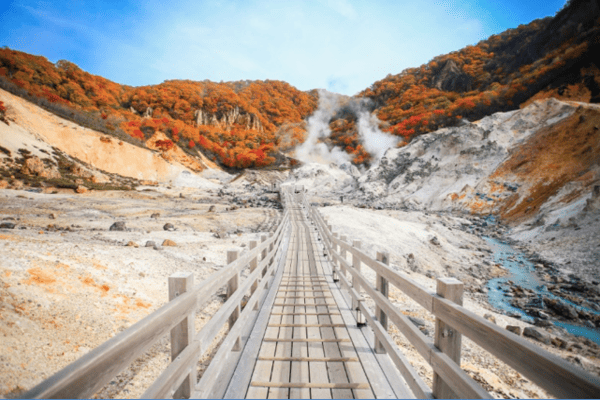 Tour Nhật Bản Mùa Hoa Anh Đào 5N5Đ | Asahikawa – Sapporo