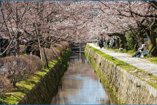 Tour Nhật Bản Mùa Hoa Anh Đào 6N5Đ | Kobe – Osaka – Tokyo