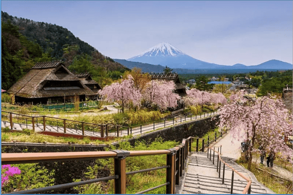 Tour Nhật Bản Mùa Hoa Anh Đào 6N5Đ | Kobe – Osaka – Tokyo