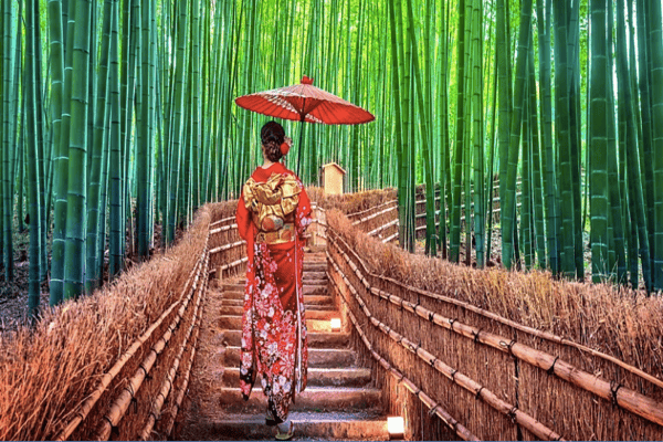 Du Lịch Nhật Bản Mùa Hè 5N5Đ | Osaka – Kyoto – Nagoya – Tokyo