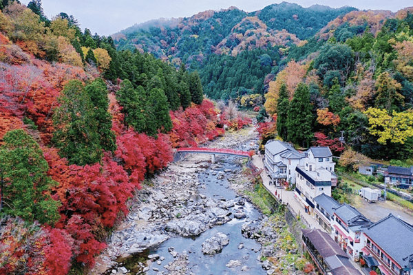 Tour Nhật Bản Mùa Hè 5N5Đ: Kobe – Osaka – Kyoto – Núi Phú Sĩ – Tokyo