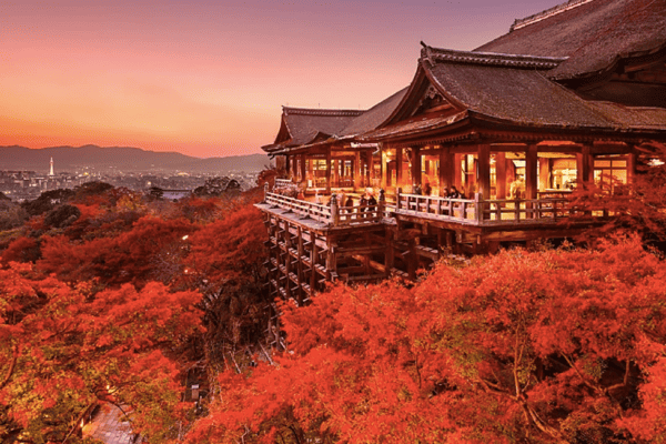 Tour Nhật Bản Mùa Hè 5N5Đ: Kobe – Osaka – Kyoto – Núi Phú Sĩ – Tokyo