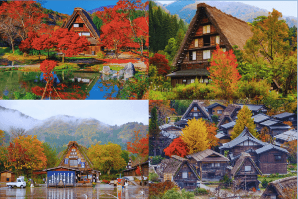 Tour Nhật Bản Mùa Thu Lá Đỏ 5N5Đ: Nagoya – Shirakawago – Takayama – Núi Phú Sĩ – Tokyo