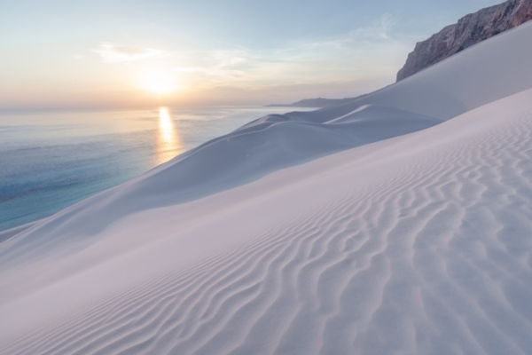 Tour du lich Socotra