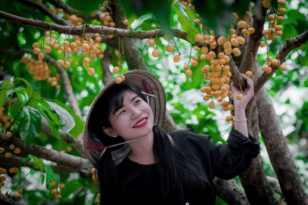 Tour Miền Tây 4 Ngày 3 Đêm | Sài Gòn – Mỹ Tho – Bến Tre – Châu Đốc – Cần Thơ – Sóc Trăng – Bạc Liêu – Cà Mau