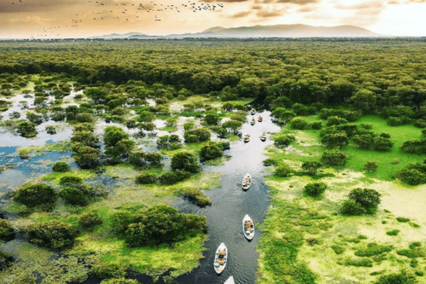 Tour Miền Tây 4 Ngày 3 Đêm | Sài Gòn – Mỹ Tho – Bến Tre – Châu Đốc – Cần Thơ – Sóc Trăng – Bạc Liêu – Cà Mau
