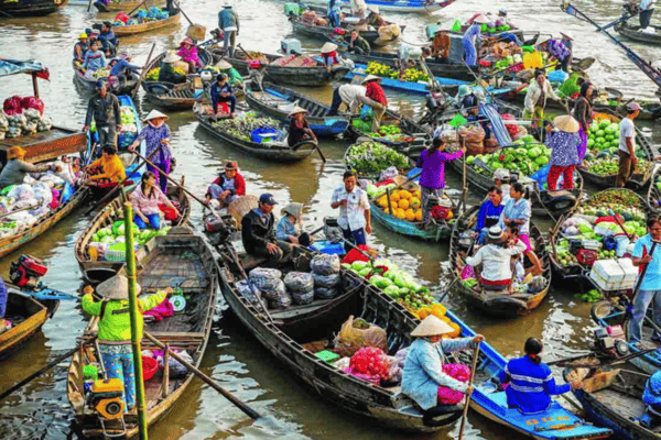 Tour Miền Tây 3 Ngày 2 Đêm | Mỹ Tho – Cần Thơ – Sóc Trăng – Bạc Liêu – Cà Mau