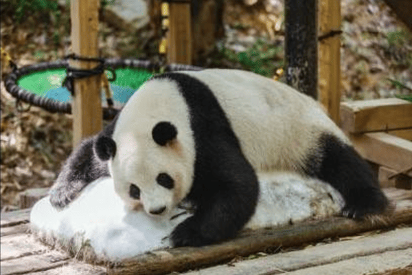 DU LỊCH THẨM QUYẾN – TRUNG SƠN QUẢNG CHÂU – FREE DAY