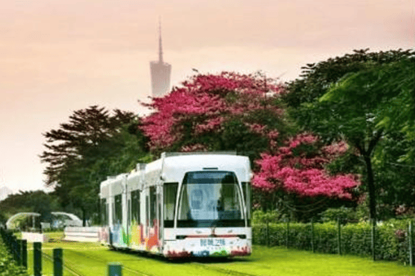 DU LỊCH THẨM QUYẾN – TRUNG SƠN QUẢNG CHÂU – FREE DAY