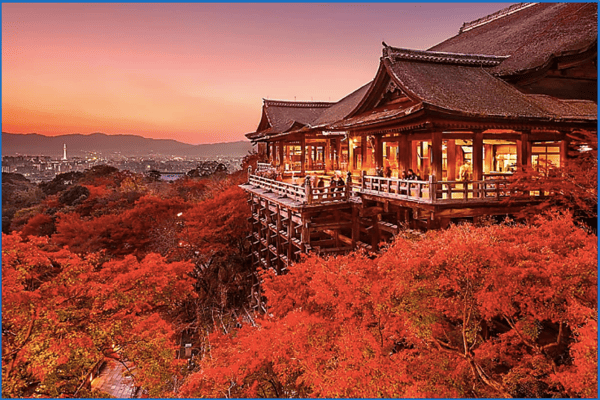 Tour Nhật Bản Mùa Thu: Osaka – Nara – Kyoto – Nagoya – Yamanashi – Tokyo